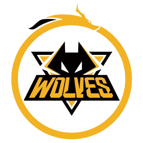 比赛日修整 比赛日修整